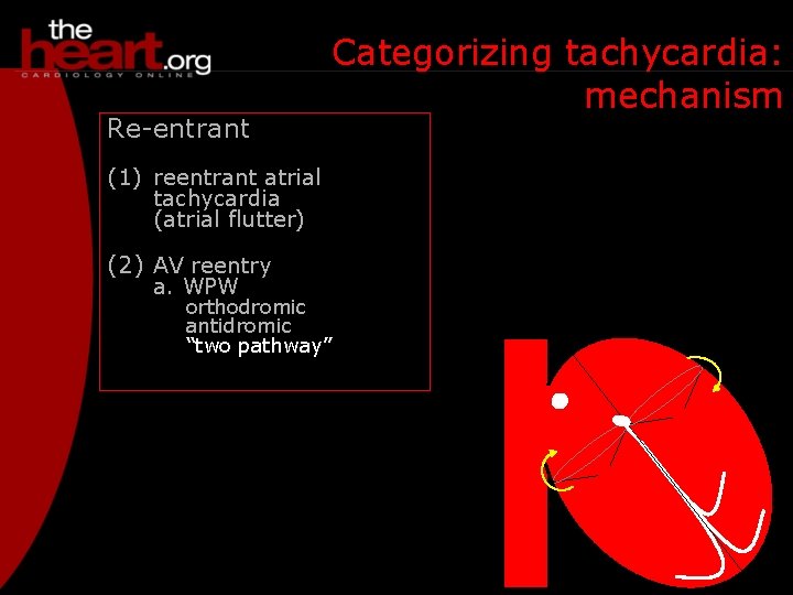 Re-entrant Categorizing tachycardia: mechanism (1) reentrant atrial tachycardia (atrial flutter) (2) AV reentry a.