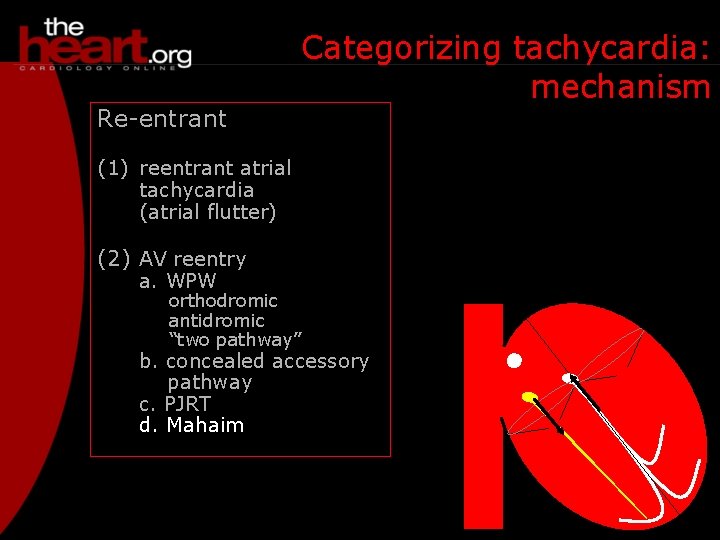 Re-entrant Categorizing tachycardia: mechanism (1) reentrant atrial tachycardia (atrial flutter) (2) AV reentry a.