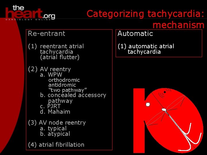 Re-entrant Categorizing tachycardia: mechanism (1) reentrant atrial tachycardia (atrial flutter) (2) AV reentry a.