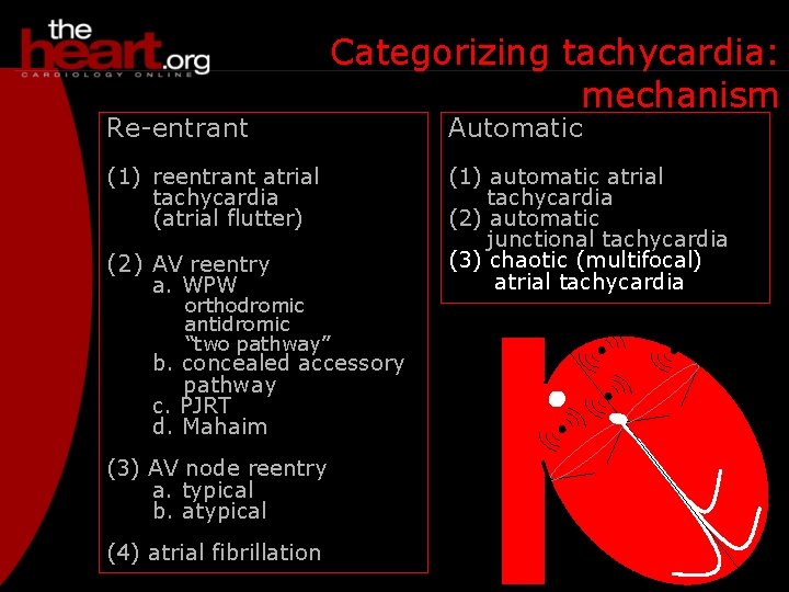 Re-entrant Categorizing tachycardia: mechanism (1) reentrant atrial tachycardia (atrial flutter) (2) AV reentry a.