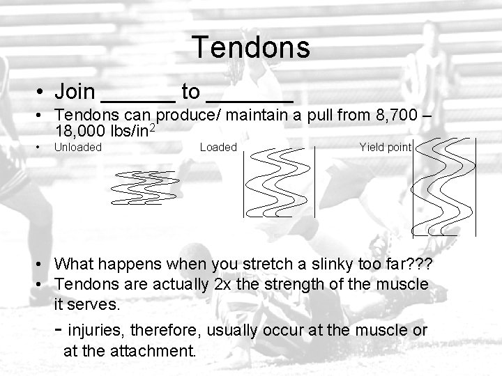 Tendons • Join ______ to _______ • Tendons can produce/ maintain a pull from