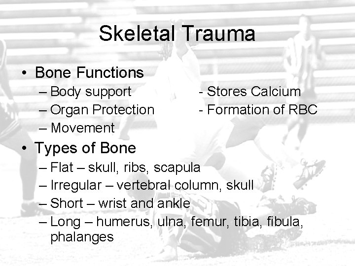 Skeletal Trauma • Bone Functions – Body support – Organ Protection – Movement -