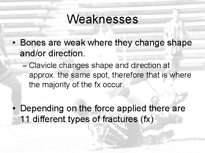 Weaknesses • Bones are weak where they change shape and/or direction. – Clavicle changes