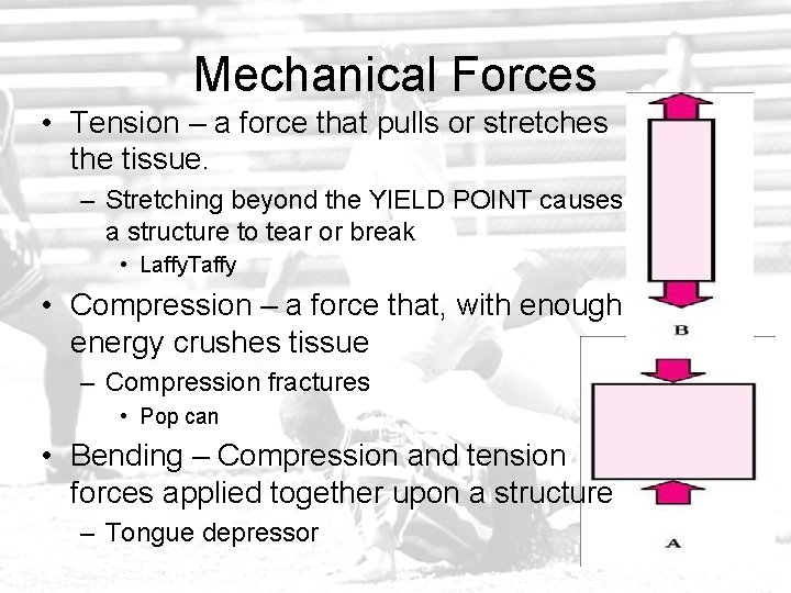 Mechanical Forces • Tension – a force that pulls or stretches the tissue. –
