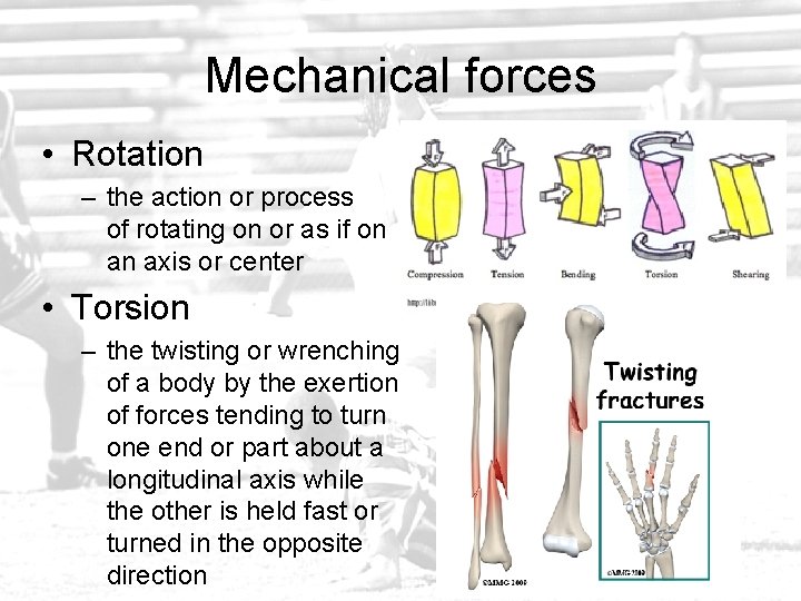 Mechanical forces • Rotation – the action or process of rotating on or as