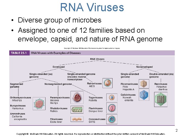 RNA Viruses • Diverse group of microbes • Assigned to one of 12 families
