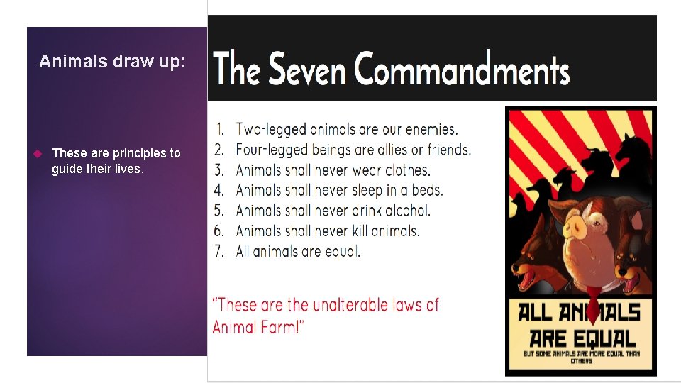 Animals draw up: These are principles to guide their lives. 