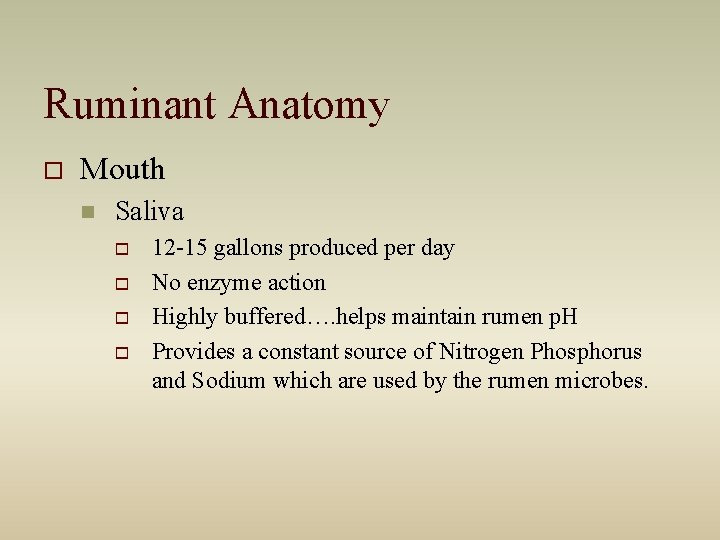 Ruminant Anatomy o Mouth n Saliva o o 12 -15 gallons produced per day Ruminant Anatomy o Mouth n Saliva o o 12 -15 gallons produced per day