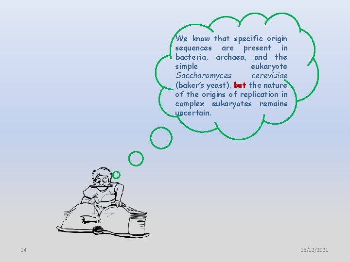 We know that specific origin sequences are present in bacteria, archaea, and the simple