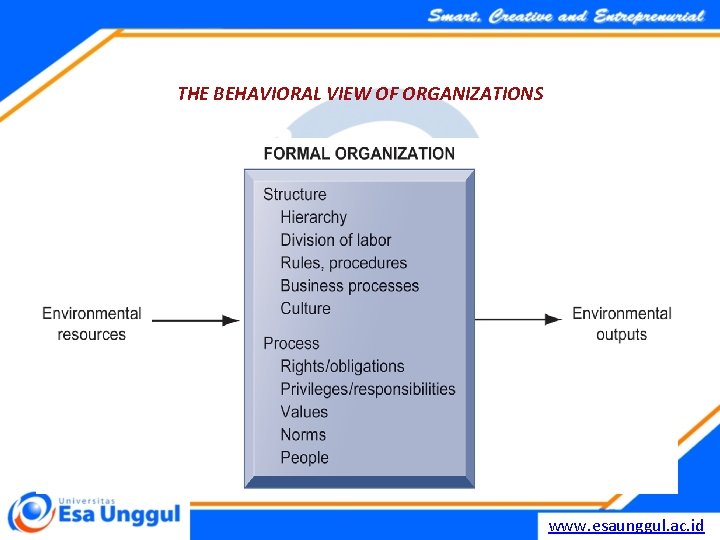 THE BEHAVIORAL VIEW OF ORGANIZATIONS The behavioral view of organizations emphasizes group relationships, values,