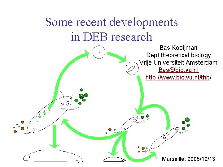 Some recent developments in DEB research Bas Kooijman Dept theoretical biology Vrije Universiteit Amsterdam