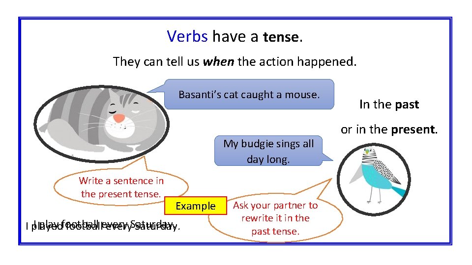 Verbs have a tense. They can tell us when the action happened. Basanti’s cat