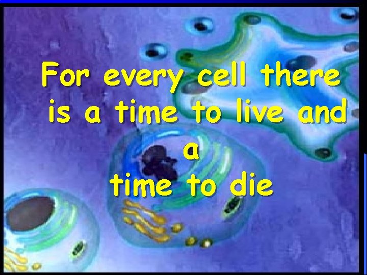 For every cell there is a time to live and a time to die