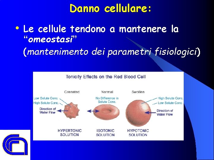 Danno cellulare: • Le cellule tendono a mantenere la “omeostasi” (mantenimento dei parametri fisiologici)