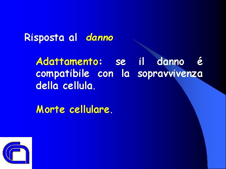 Risposta al danno Adattamento: se il danno é compatibile con la sopravvivenza della cellula.