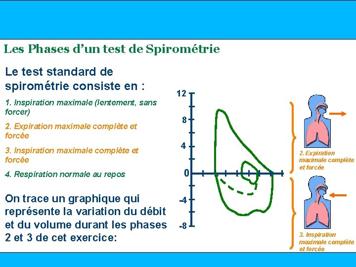 www. mediflux. fr Les Phases d’un test de Spirométrie Le test standard de spirométrie