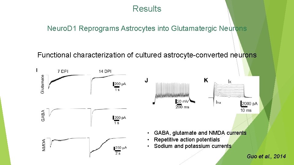 Results Neuro. D 1 Reprograms Astrocytes into Glutamatergic Neurons Functional characterization of cultured astrocyte-converted