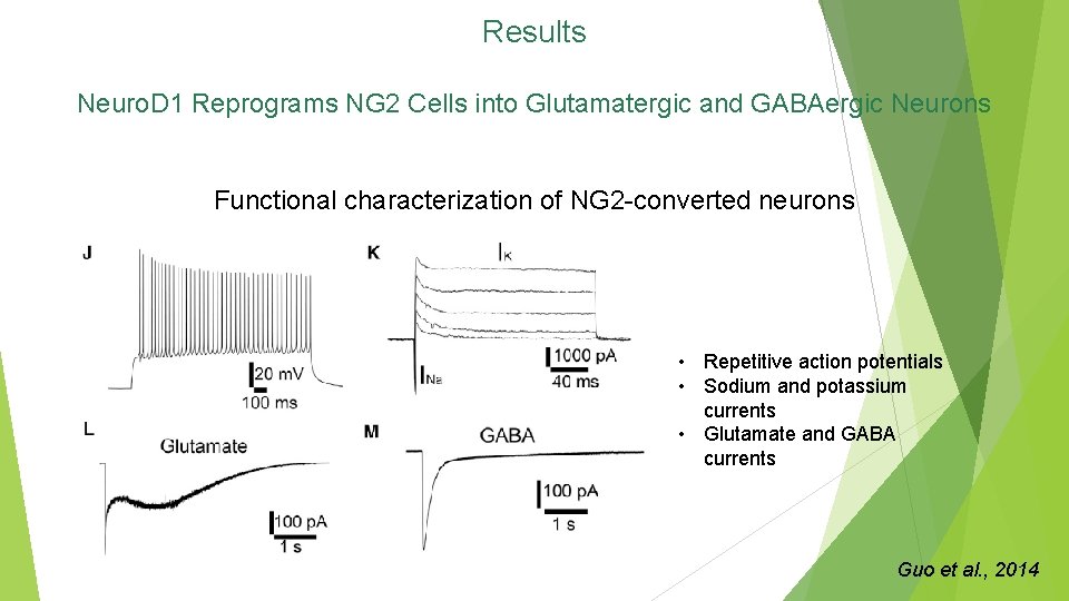 Results Neuro. D 1 Reprograms NG 2 Cells into Glutamatergic and GABAergic Neurons Functional