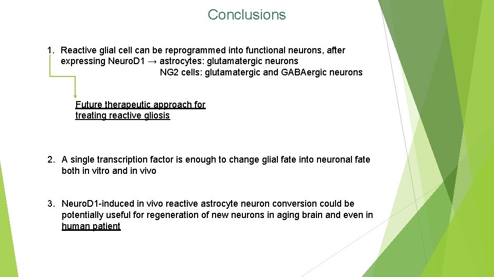 Conclusions 1. Reactive glial cell can be reprogrammed into functional neurons, after expressing Neuro.