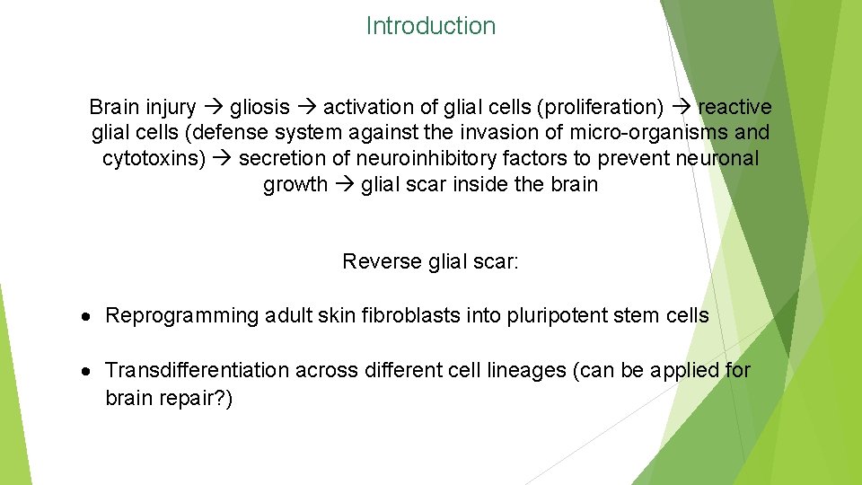 Introduction Brain injury gliosis activation of glial cells (proliferation) reactive glial cells (defense system