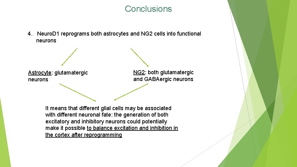 Conclusions 4. Neuro. D 1 reprograms both astrocytes and NG 2 cells into functional