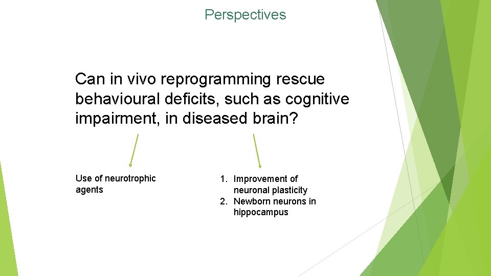 Perspectives Can in vivo reprogramming rescue behavioural deficits, such as cognitive impairment, in diseased