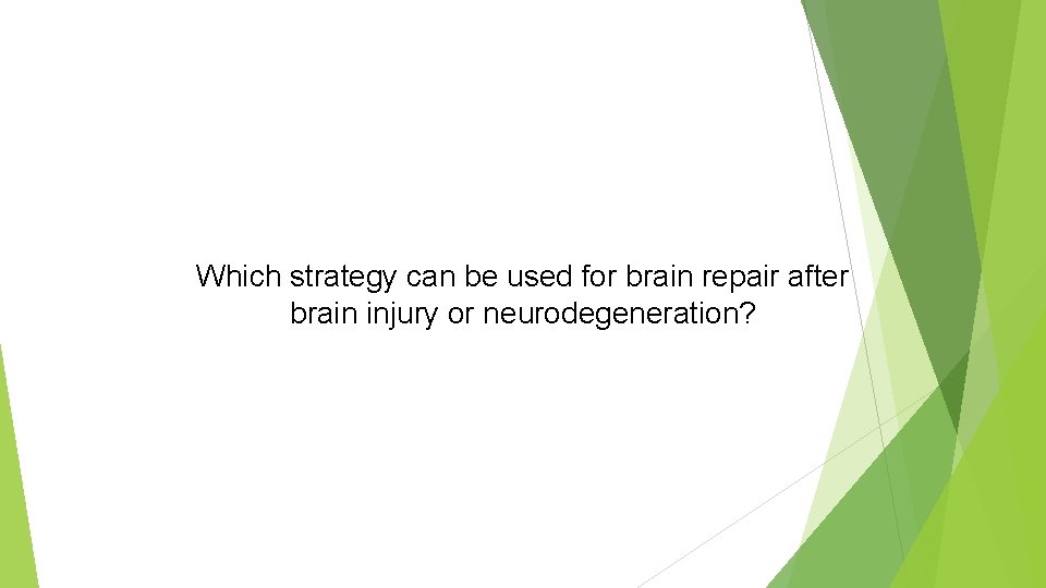 Which strategy can be used for brain repair after brain injury or neurodegeneration? 