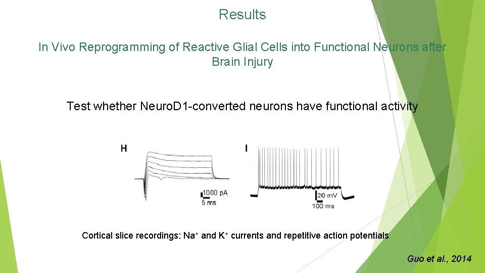 Results In Vivo Reprogramming of Reactive Glial Cells into Functional Neurons after Brain Injury