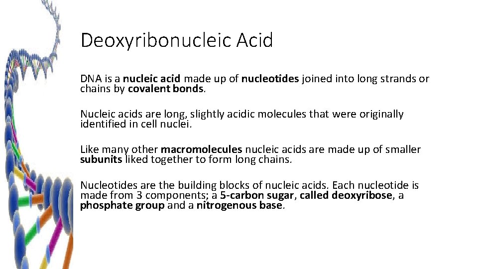 Deoxyribonucleic Acid DNA is a nucleic acid made up of nucleotides joined into long