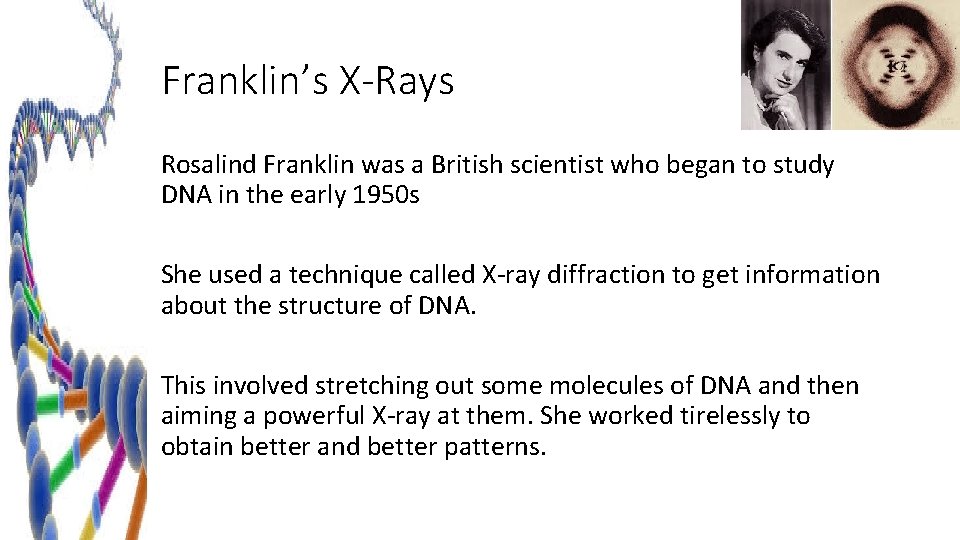 Franklin’s X-Rays Rosalind Franklin was a British scientist who began to study DNA in