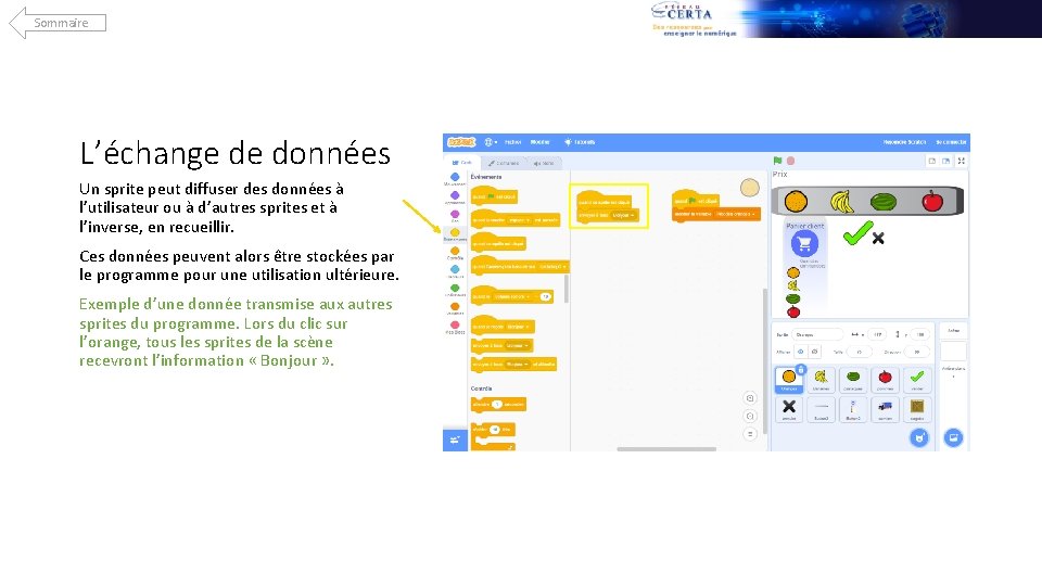 Sommaire L’échange de données Un sprite peut diffuser des données à l’utilisateur ou à