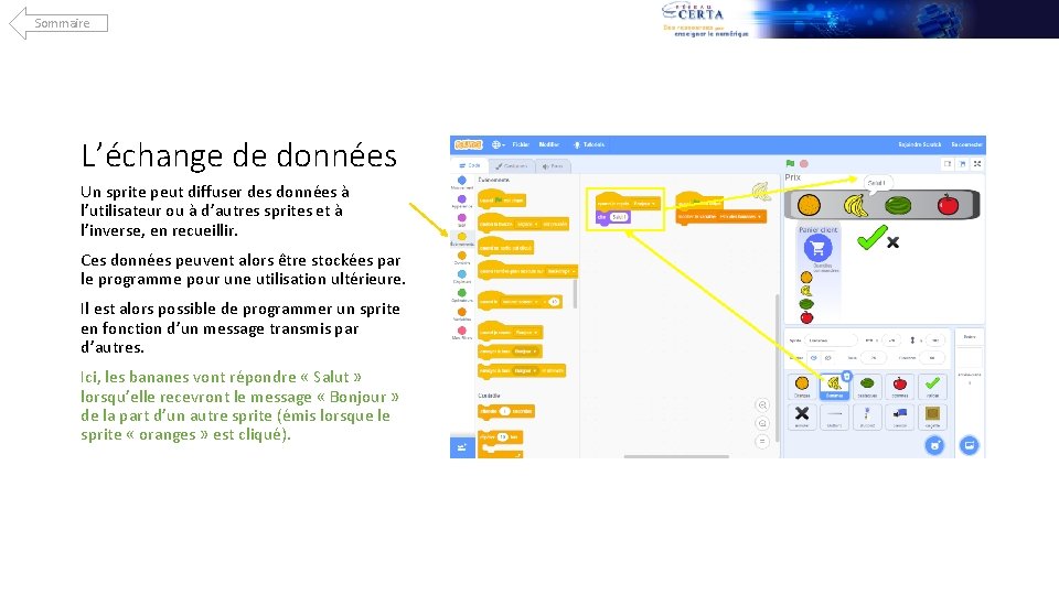 Sommaire L’échange de données Un sprite peut diffuser des données à l’utilisateur ou à