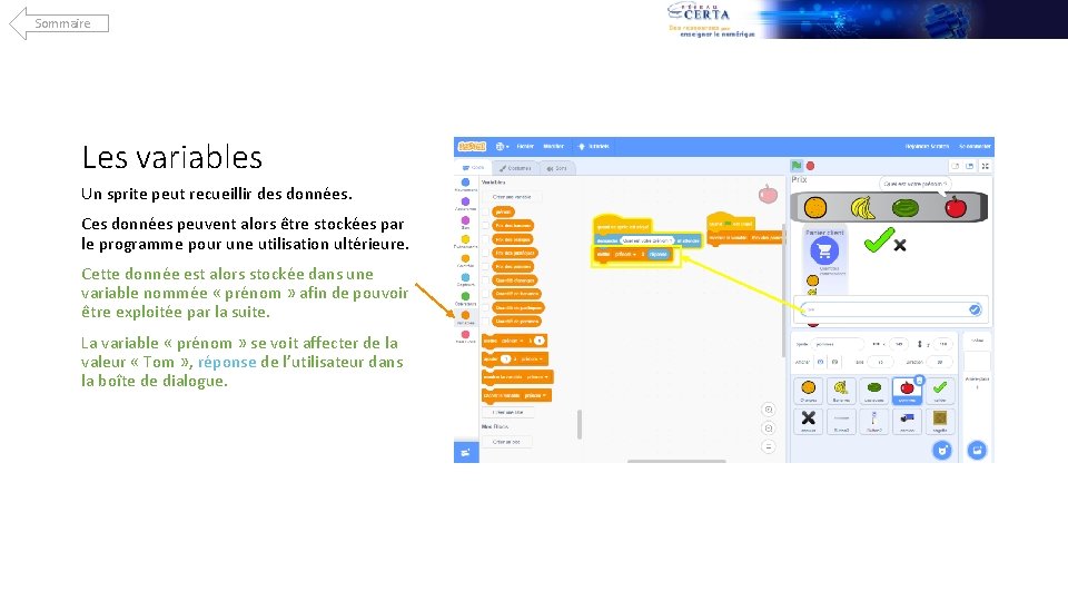 Sommaire Les variables Un sprite peut recueillir des données. Ces données peuvent alors être