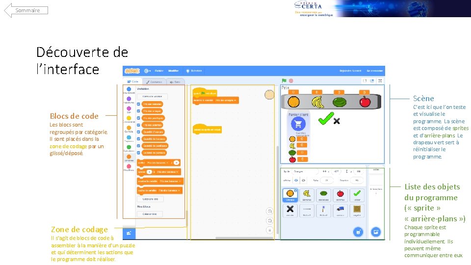 Sommaire Découverte de l’interface Scène Blocs de code Les blocs sont regroupés par catégorie.