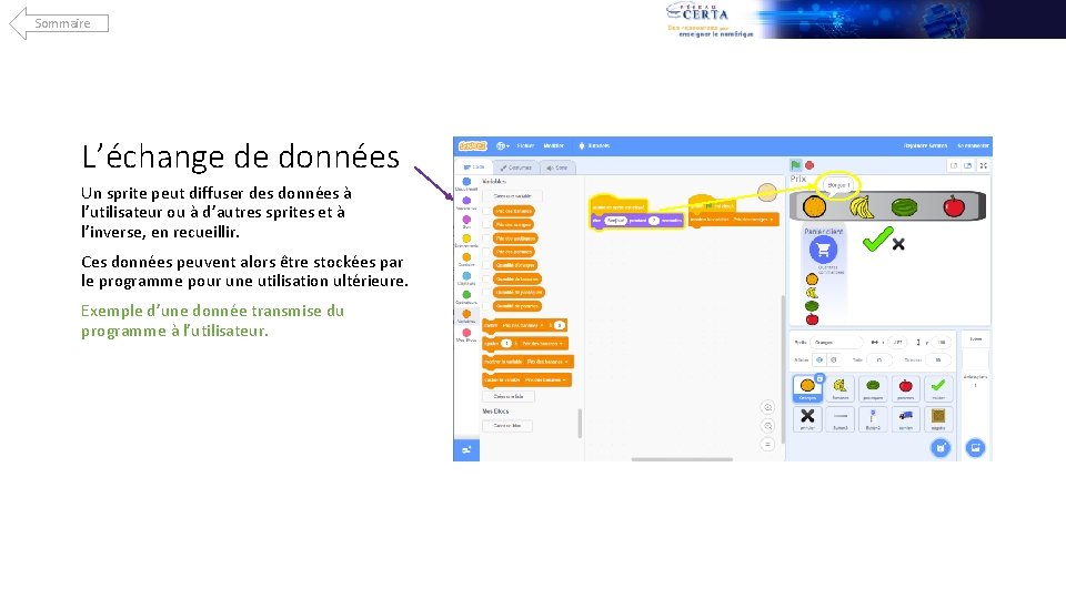 Sommaire L’échange de données Un sprite peut diffuser des données à l’utilisateur ou à