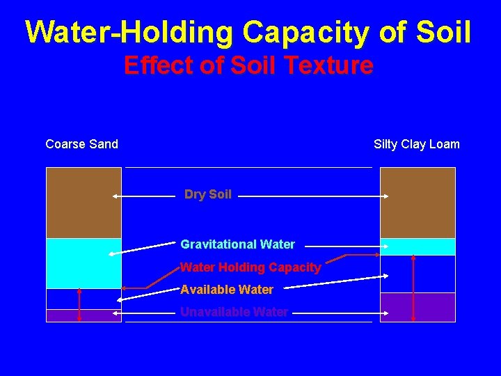 Water-Holding Capacity of Soil Effect of Soil Texture Coarse Sand Silty Clay Loam Dry