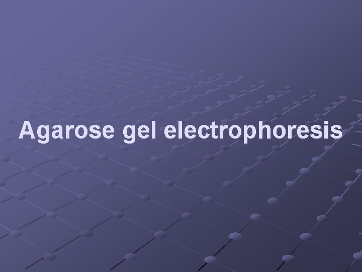 Agarose gel electrophoresis 