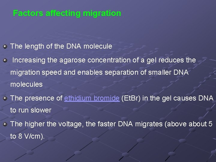 Factors affecting migration The length of the DNA molecule Increasing the agarose concentration of