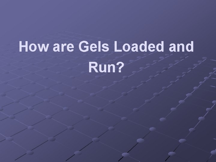 How are Gels Loaded and Run? 