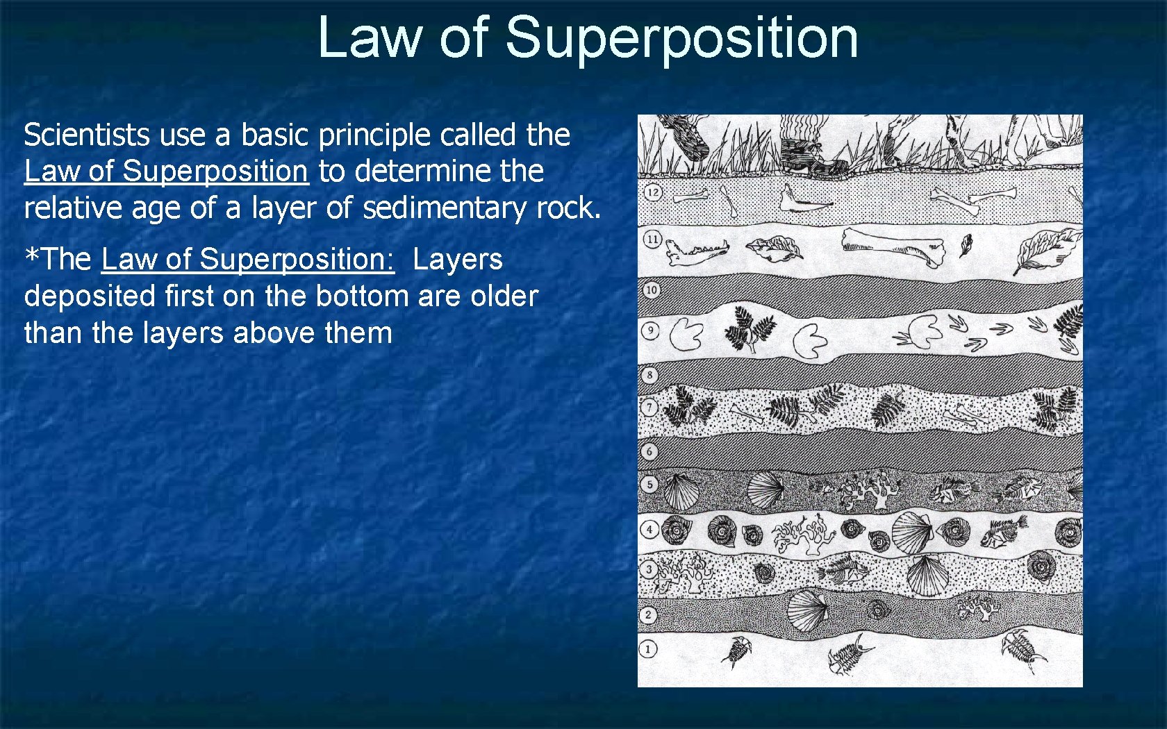 Law of Superposition Scientists use a basic principle called the Law of Superposition to