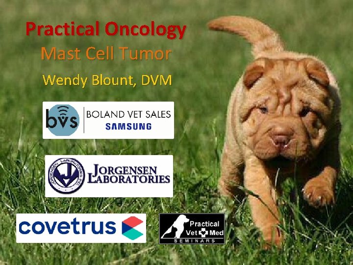 Practical Oncology Mast Cell Tumor Wendy Blount, DVM 