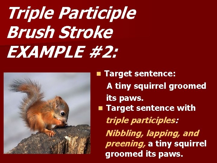 Triple Participle Brush Stroke EXAMPLE #2: Target sentence: A tiny squirrel groomed its paws.