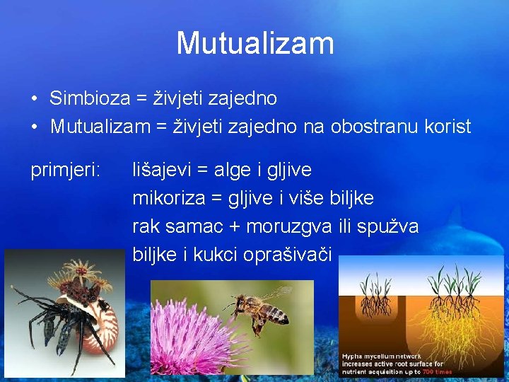 Mutualizam • Simbioza = živjeti zajedno • Mutualizam = živjeti zajedno na obostranu korist
