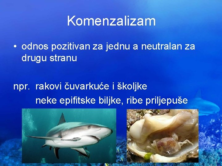 Komenzalizam • odnos pozitivan za jednu a neutralan za drugu stranu npr. rakovi čuvarkuće