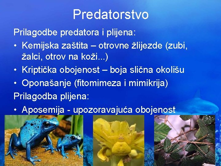 Predatorstvo Prilagodbe predatora i plijena: • Kemijska zaštita – otrovne žlijezde (zubi, žalci, otrov