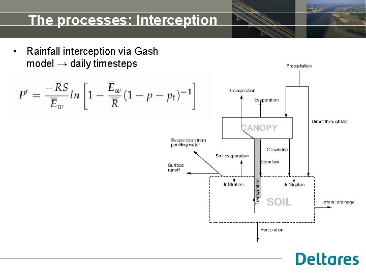 The processes: Interception • Rainfall interception via Gash model → daily timesteps 