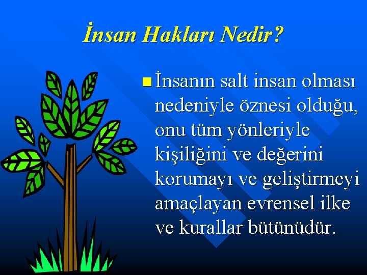 İnsan Hakları Nedir? n İnsanın salt insan olması nedeniyle öznesi olduğu, onu tüm yönleriyle