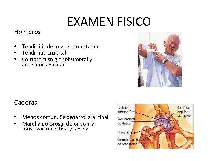 Hombros EXAMEN FISICO • Tendinitis del manguito rotador • Tendinitis bicipital • Compromiso glenohumeral