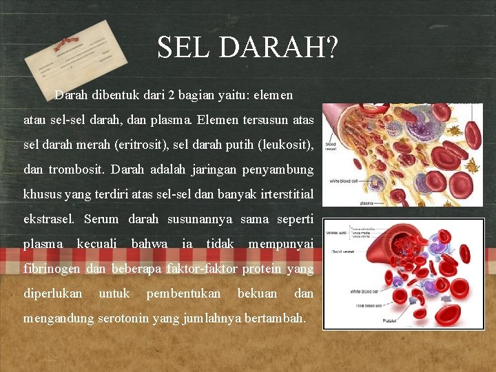 SEL DARAH? Darah dibentuk dari 2 bagian yaitu: elemen atau sel-sel darah, dan plasma.