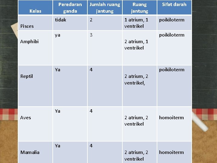 Kelas Pisces Amphibi Reptil Aves Mamalia Peredaran ganda Jumlah ruang jantung tidak 2 ya